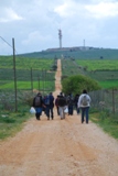 Clicca qui per vedere l'immagine in dettaglio